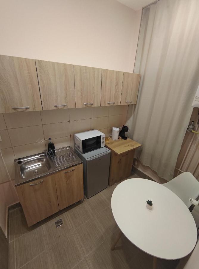 Lovely Apartment In The Heart Of The City Timisoara Exterior foto