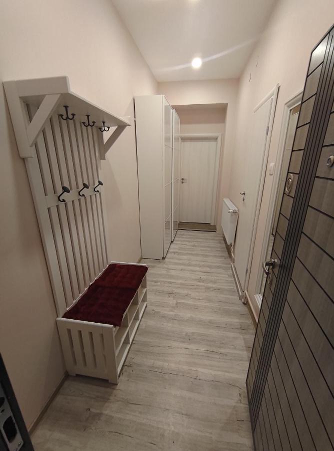 Lovely Apartment In The Heart Of The City Timisoara Exterior foto