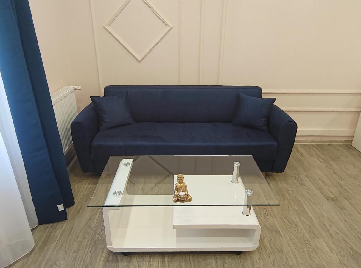 Lovely Apartment In The Heart Of The City Timisoara Exterior foto